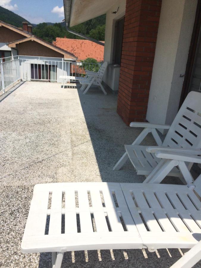 Domacinstvo Trifunovic Apartment Pretresnja Exterior foto