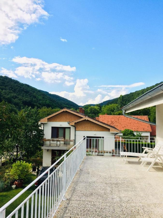 Domacinstvo Trifunovic Apartment Pretresnja Exterior foto