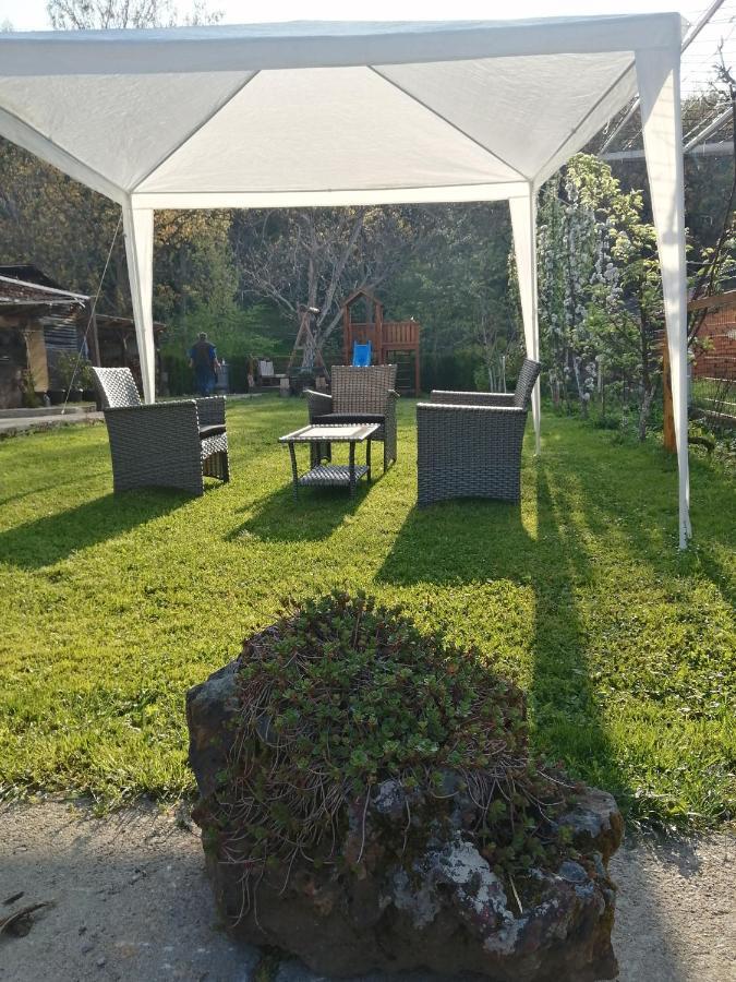 Domacinstvo Trifunovic Apartment Pretresnja Exterior foto