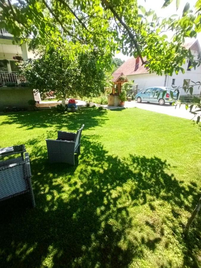 Domacinstvo Trifunovic Apartment Pretresnja Exterior foto