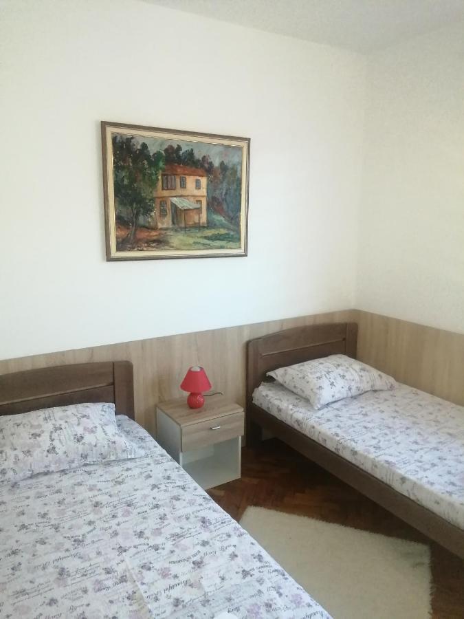 Domacinstvo Trifunovic Apartment Pretresnja Exterior foto