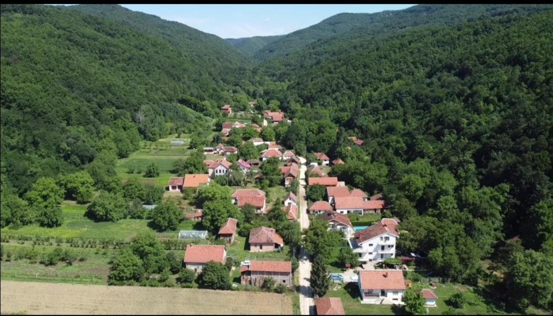 Domacinstvo Trifunovic Apartment Pretresnja Exterior foto